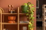 Hanah Home Nala 120 Natural